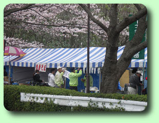 さくら祭り3